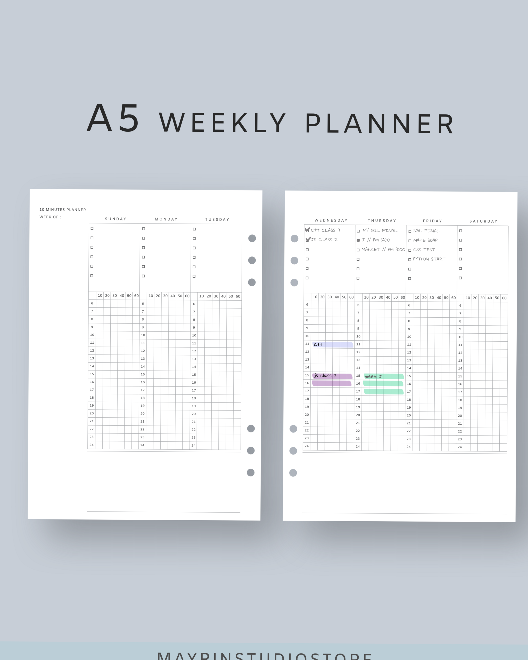 🍰 👰 10-Minute Study Planner | Aesthetic Digital Prints | dream life manifestation