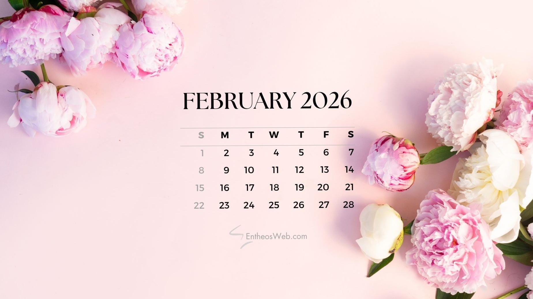 🤍 ☁️ 2026 February Desktop Calendar | EntheosWeb Design | romanticize your routine