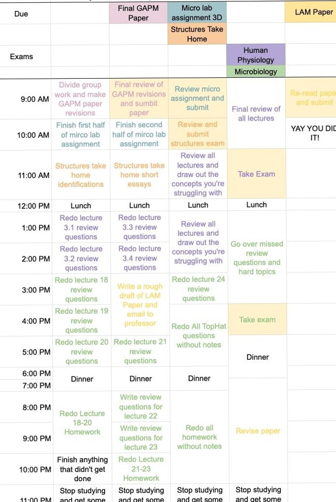 Crafting a Study Plan That Works for Finals Week — 💌 🥂 secret to staying productive
