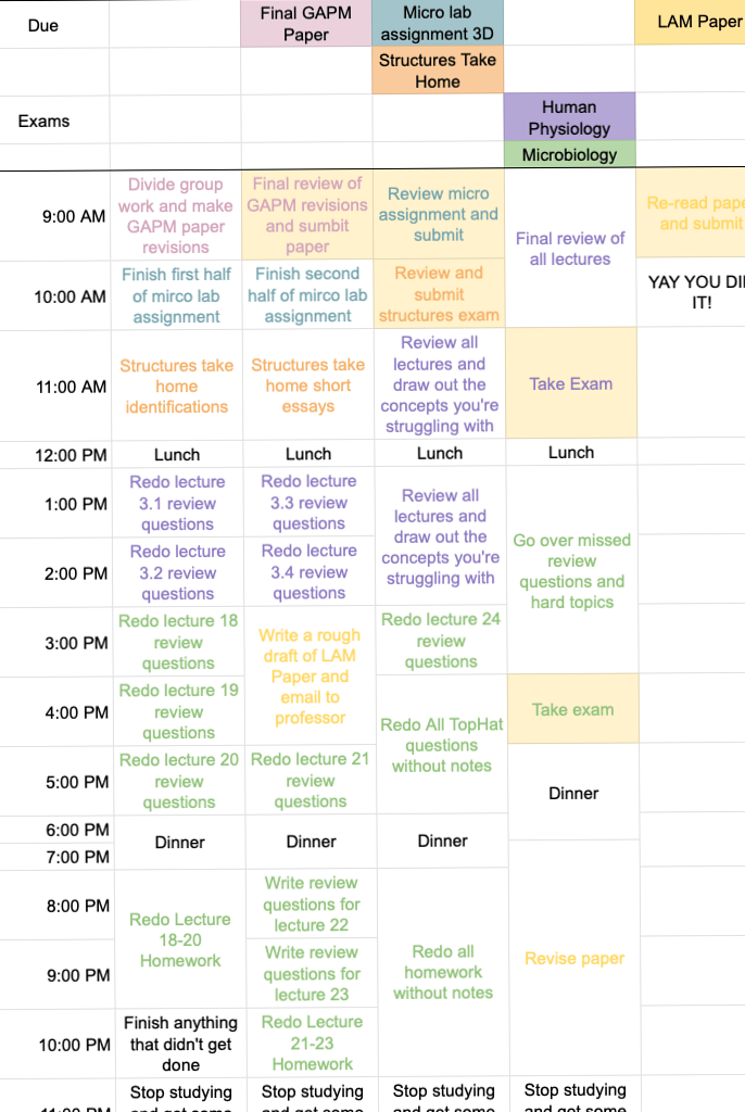 🎞️ 🏡 

Create Your Perfect Study Plan With Digital Tools and Creative Planners  
The Secret to Staying Productive and Inspired This Year