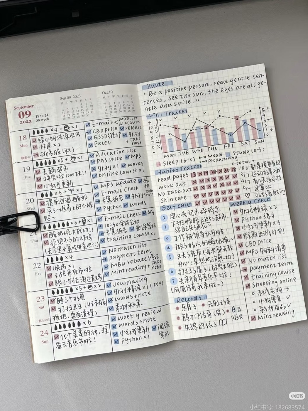 Creative Journaling Inspiration for Digital Planners — 💎 🌈 secret to staying productive