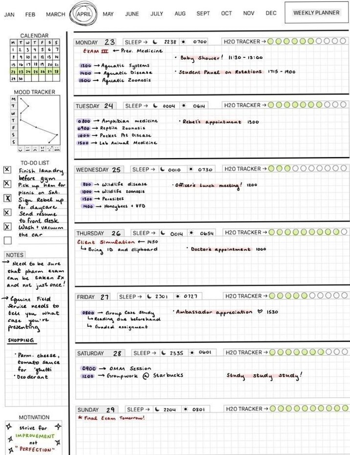 📍 🌈 Digital Student Planner Template for Creative Organization | romanticize your routine