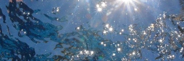 🌸 👰 dream life manifestation: Creative Planner Assets | Digital Design Vol. 236