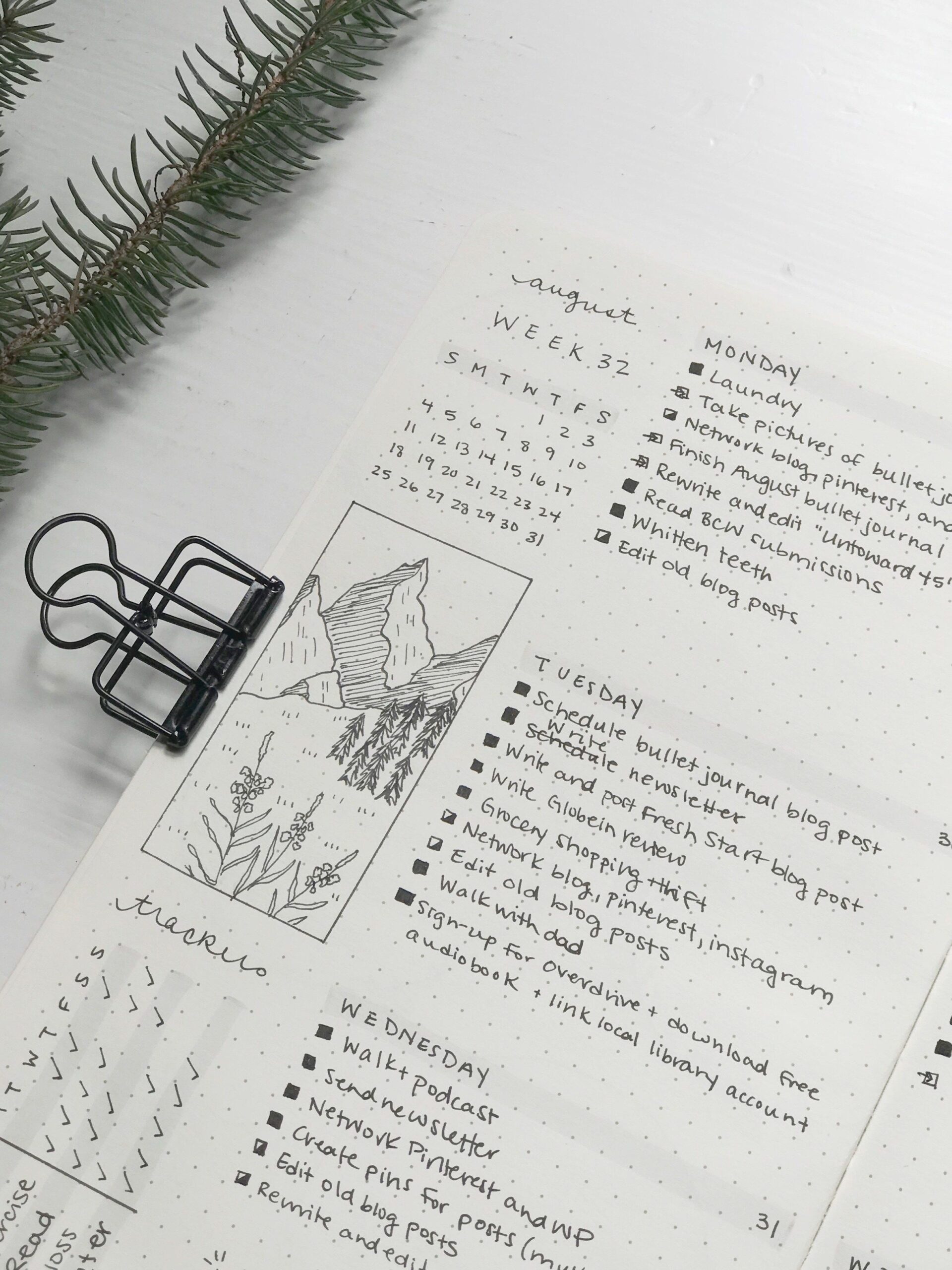 🎨 🪄 dream life manifestation: Mountain Doodle Wildflowers Weekly Bujo Spread