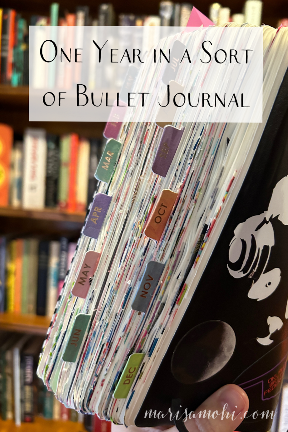 ✨ 🌿 dream life manifestation: One Year in a Sort of Bullet Journal | Marisa Mohi