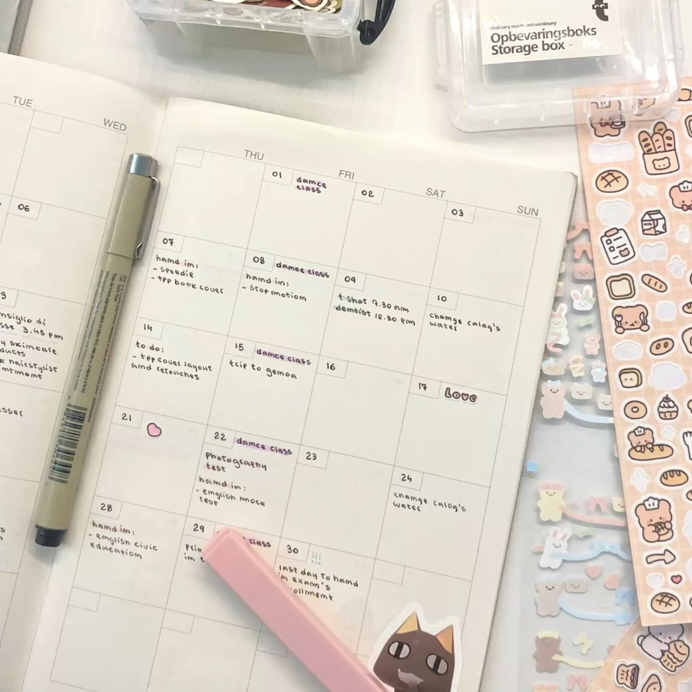 👰 🌸 dream life manifestation: Planning Your Creative Vision with Digital Planners