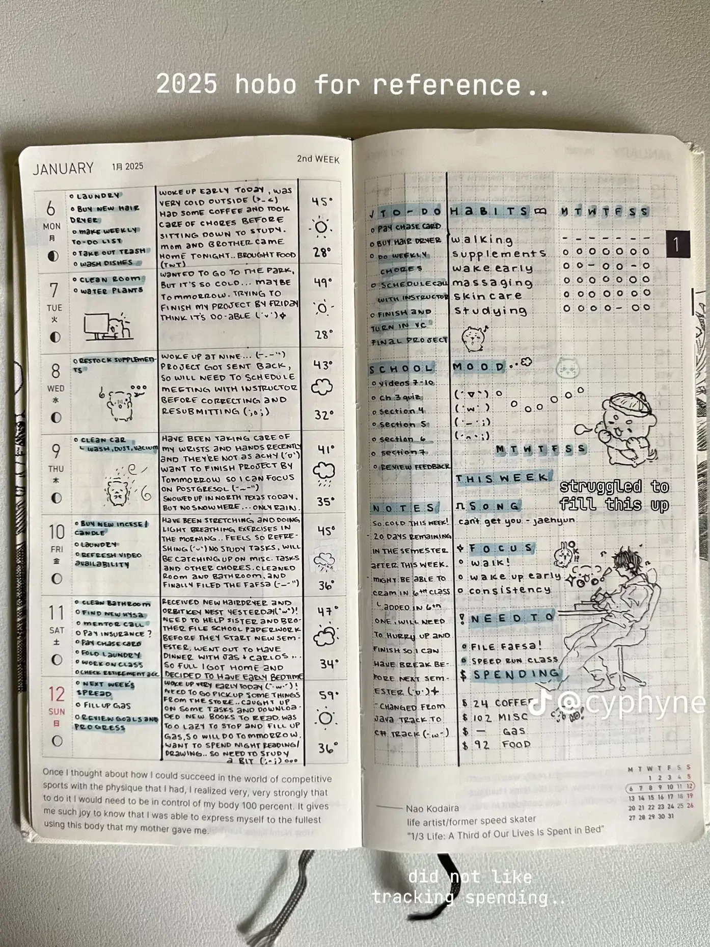 Hobonichi Weekly Layout Ideas for Digital Planners — 🎀 ✨ secret to staying productive