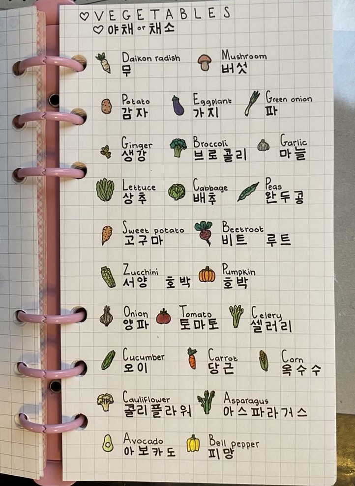 🎀 🕯️ Korean Language Learning for Creative Planners and Digital Designers | dream life manifestation