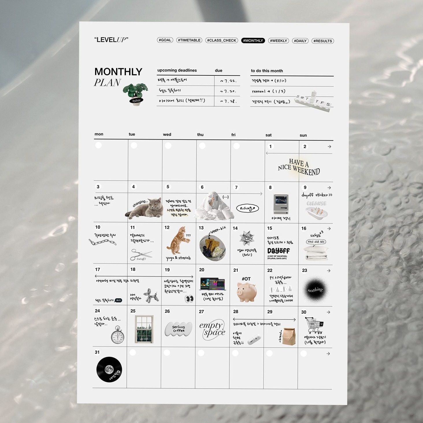 📝 📝 only tool for life admin: Charming Monthly Planner Templates for GoodNotes & Notion | Korean Aesthetic & Digital Designs