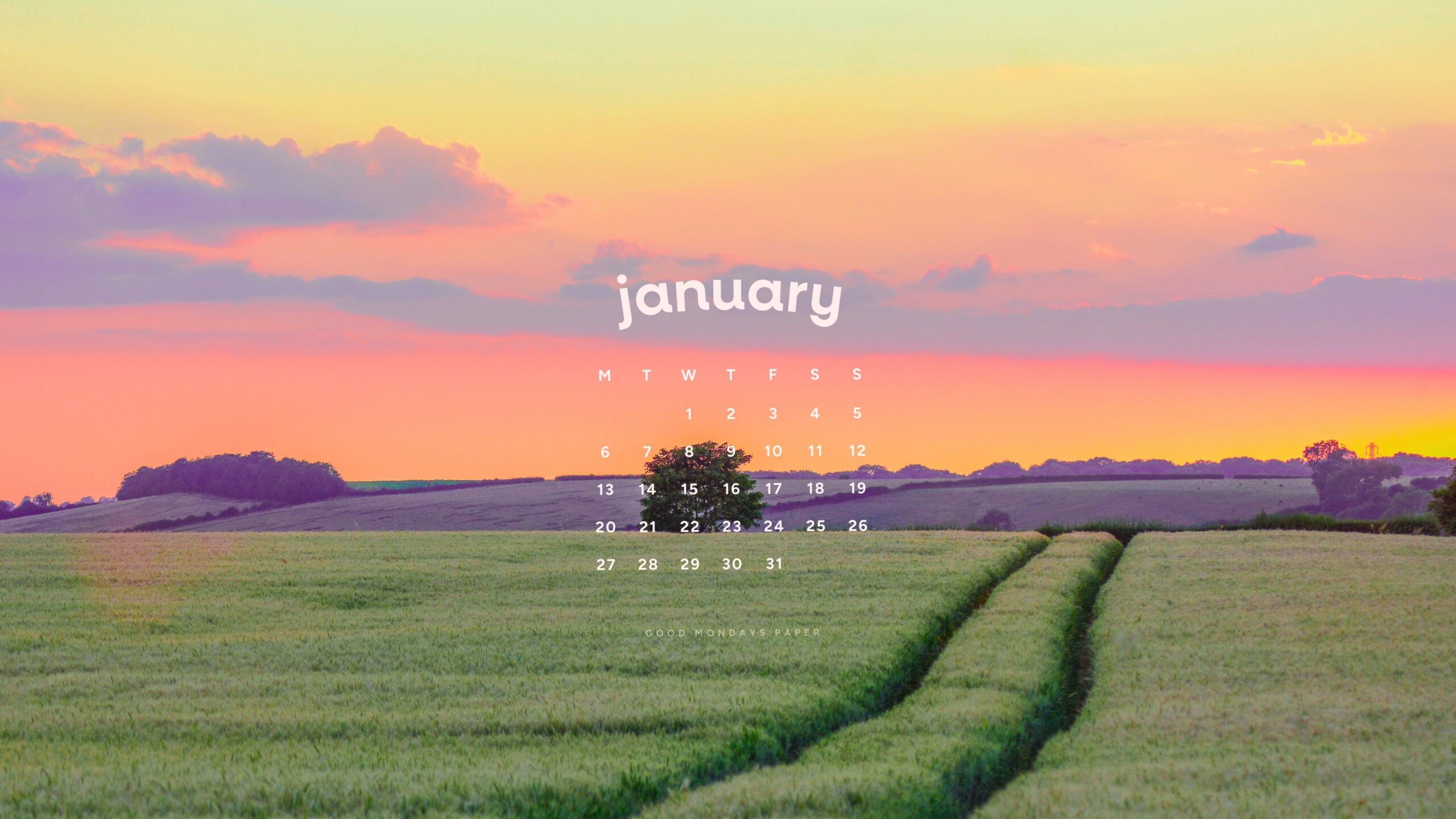 📊 🖇️ secret to staying productive: January 2025 Wallpapers for Digital Design & Planners