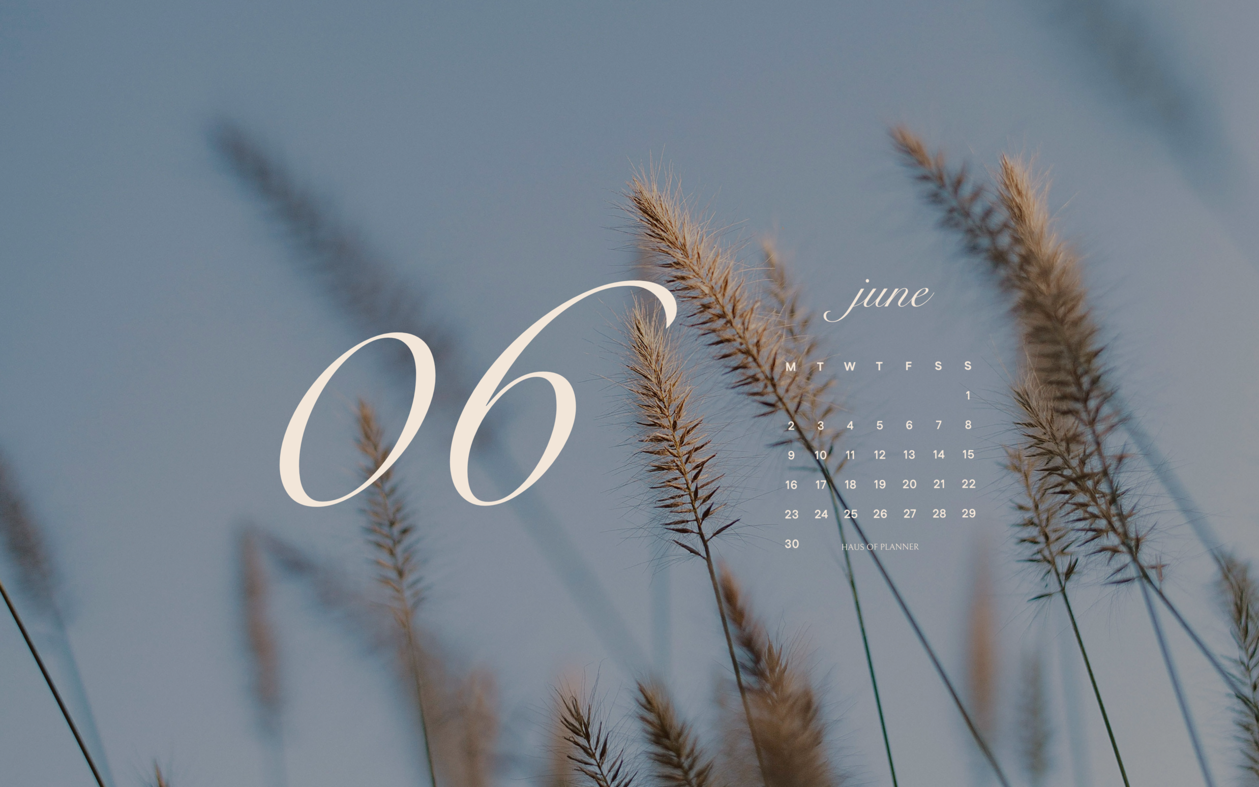🥂 👰 secret to staying productive: Free June 2025 Wallpapers for Design & Planning