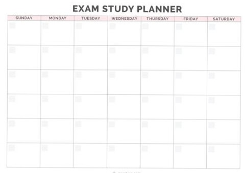 Study Inspiration for Digital Design & Creative Planners — 📅 📌 dream life manifestation