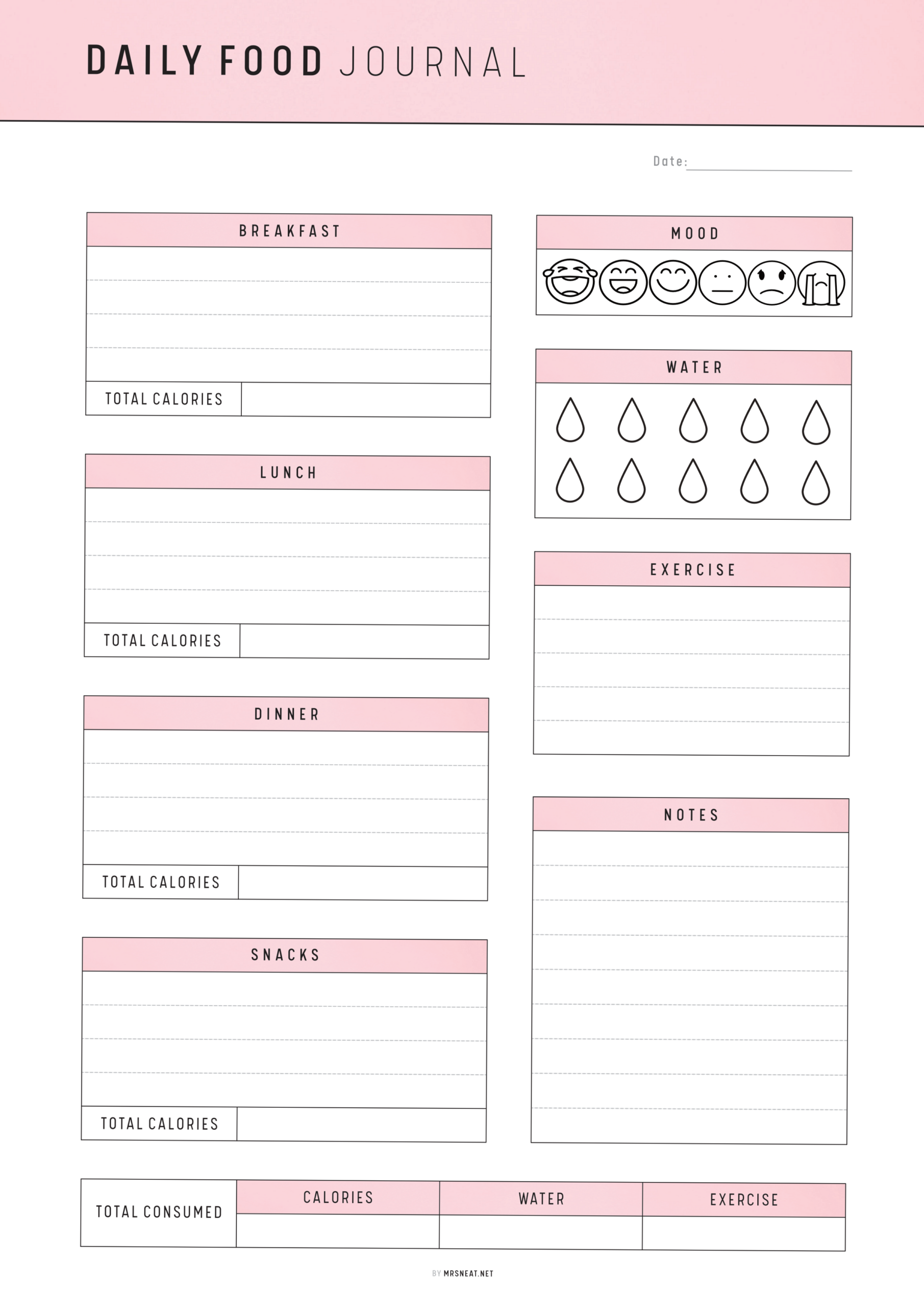 🌸 💍 Track Meals with Daily Food Journal Planner | dream life manifestation