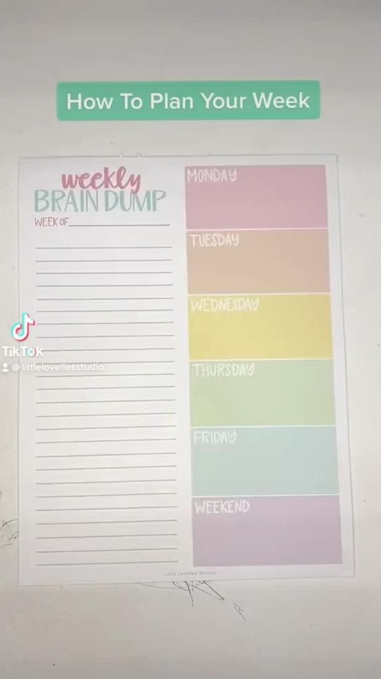 🎨 🖌️ Weekly Brain Dump for Creative Week Planning | dream life manifestation