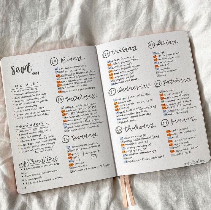 📊 📅 Weekly Planner for Creative Productivity | romanticize your routine