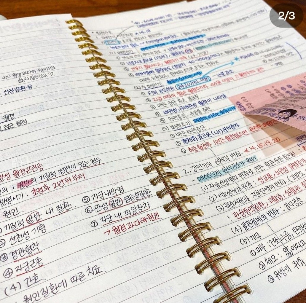 Aesthetic Notes for Digital Design & Creative Planners — 🌸 💍 secret to staying productive