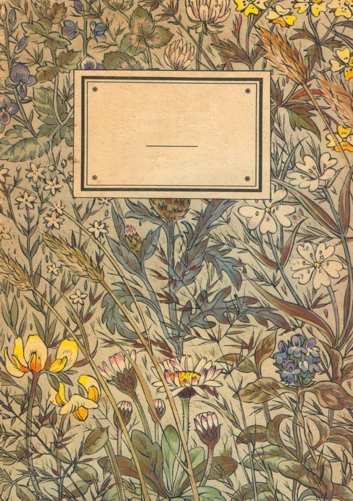 Digital Design Magic by Daphnycé 🌟 — 🪄 🪄 stay inspired all year long