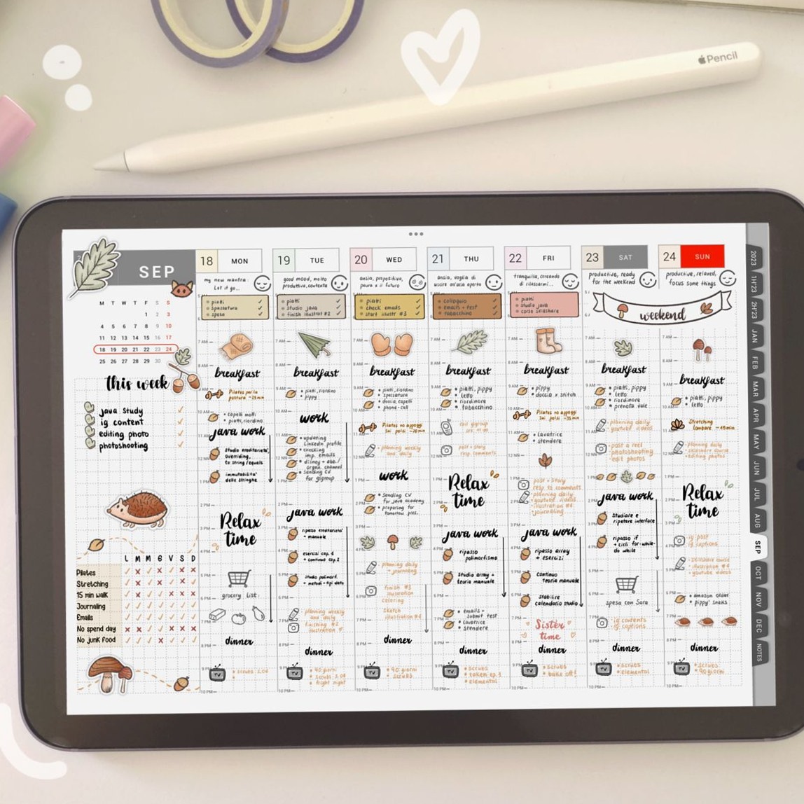 🌿 🎀 Digital Weekly Planning Templates for Creative Minds | romanticize your routine