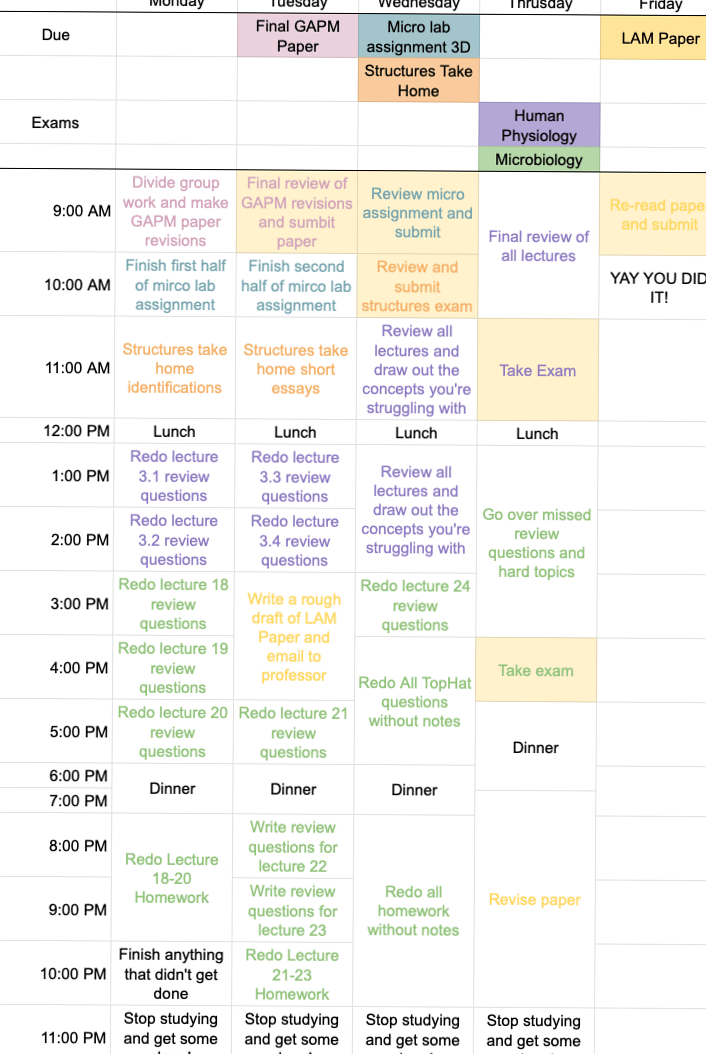 🌸 💌 dream life manifestation: 1 Week Study Plan for Effective Exam Prep Timetable