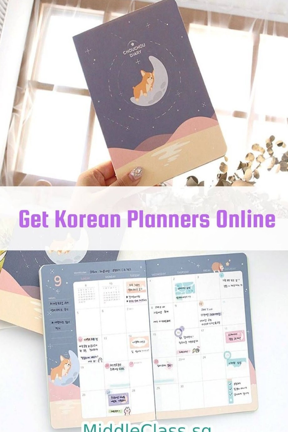 Dream Life Manifestation: Organize Your Creative Journey with Style — 📊 📁 secret to staying productive