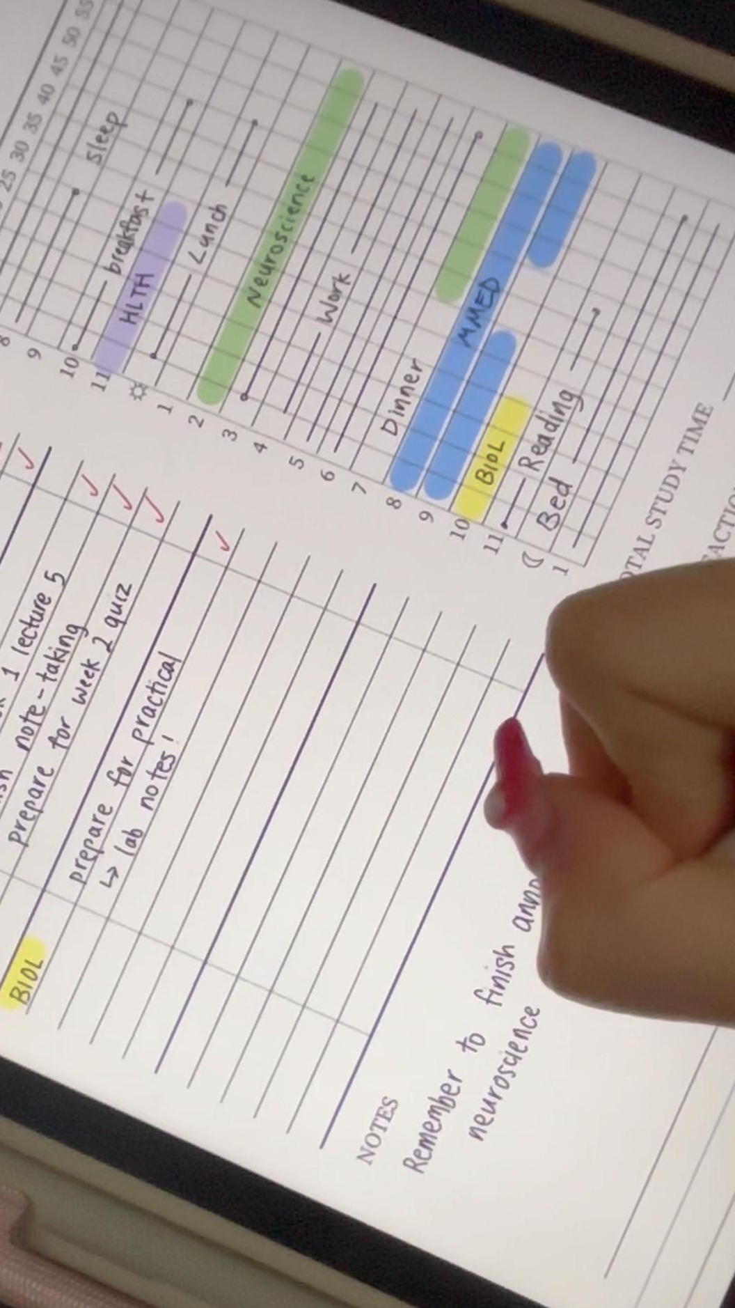 💌 🥂 dream life manifestation: Plan My Study With Me | Digital Design & Creative Planners