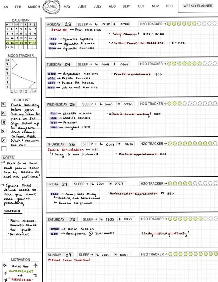 💎 🎨 dream life manifestation: Veterinary Studies Weekly Planner 04.28.18