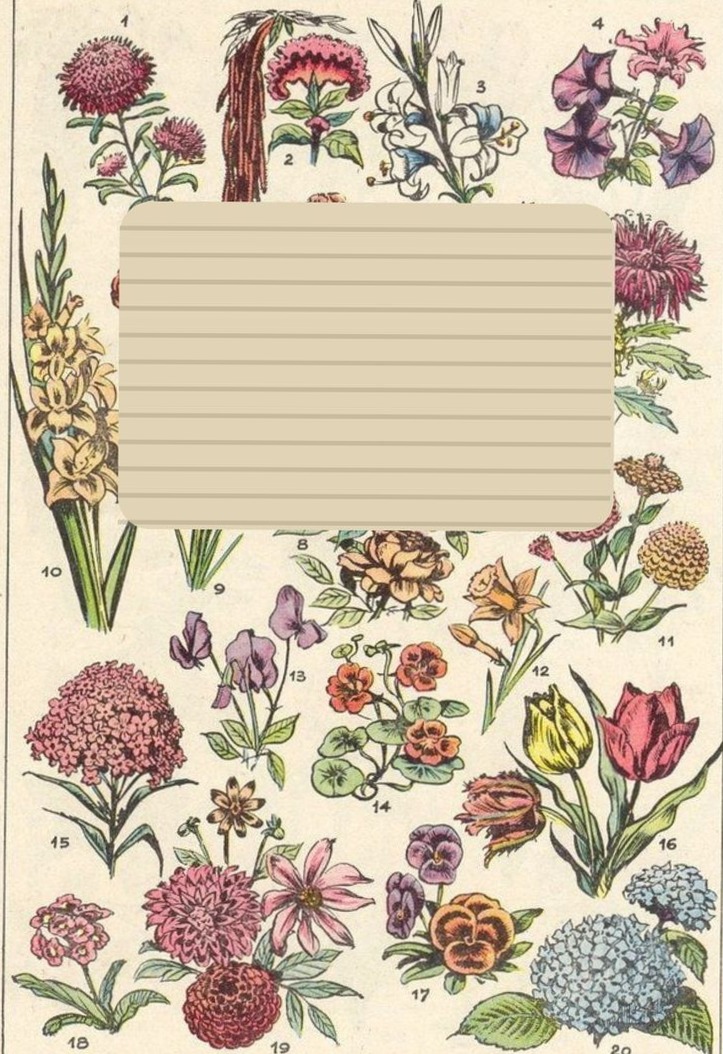 📍 💎 Effdeesea Digital Design & Creative Planner Assets | romanticize your routine