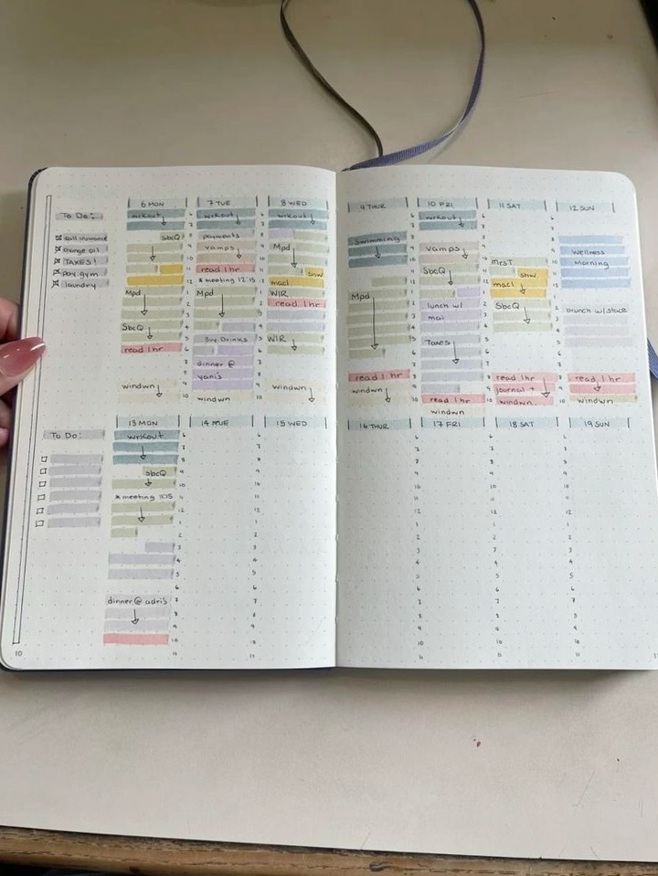 🎀 ✨ essential planning guide: Habit Tracker Free | 2 Weeks Journal Entries