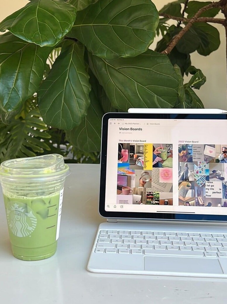 🥂 🌸 game-changing digital system: Work & Life Notion Planner | Social Media Edition