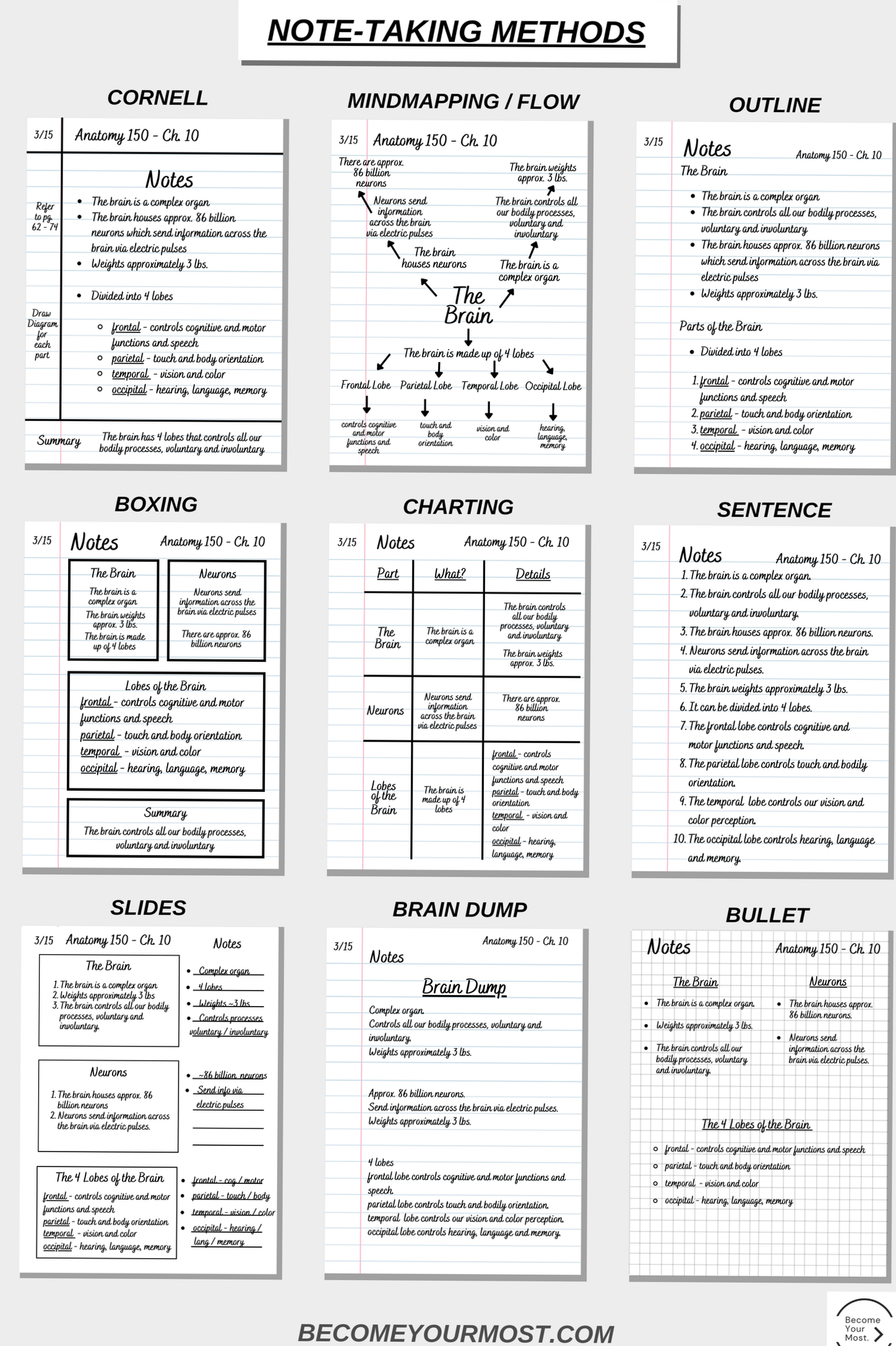🌈 🎨 game-changing digital system: Ace Your Studies: Notion Templates for Students + Better Notes