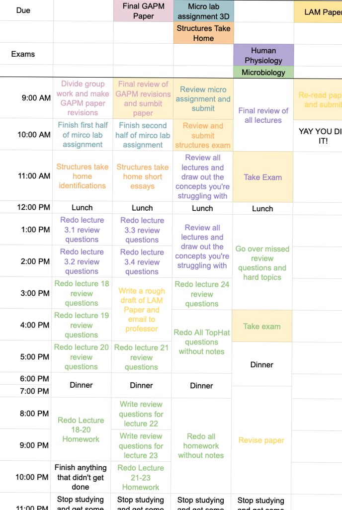🖌️ 🌈 How to Make the Perfect Study Plan for Finals Week — Digital Design & Planner Tips | secret to staying productive