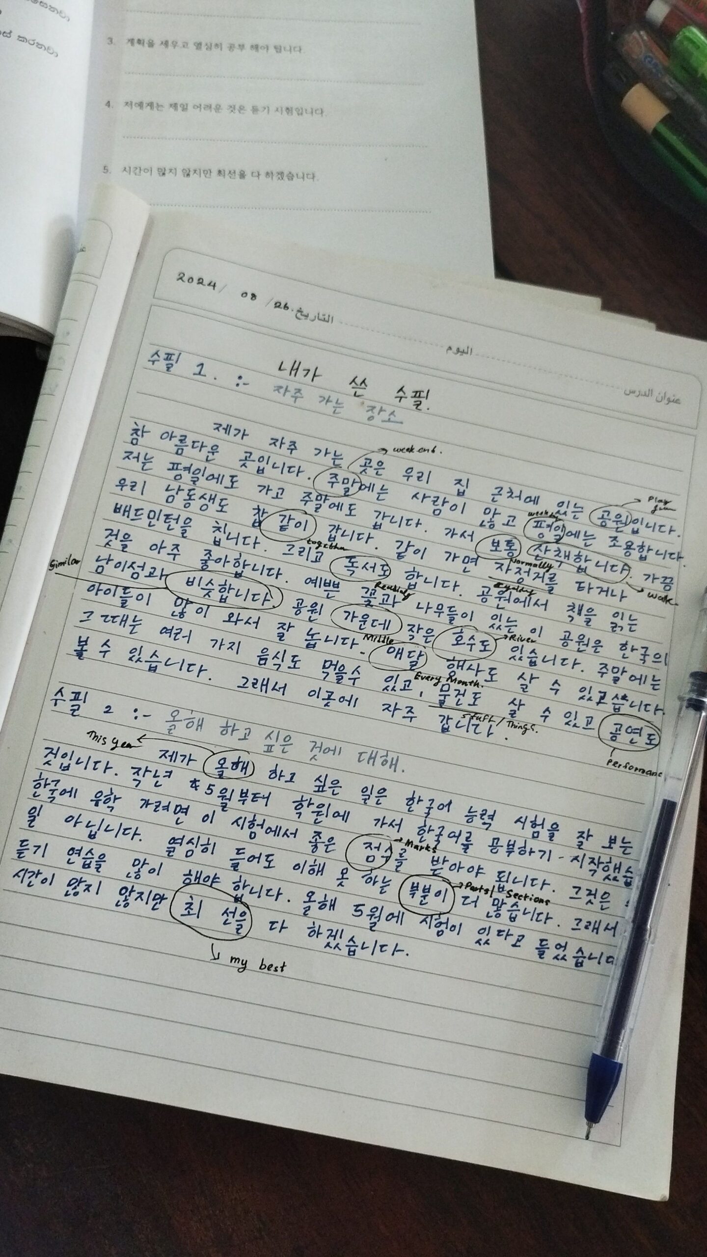 🖌️ 🎨 Korean Study Planner Design | Digital Assets & Creative Layouts | stay inspired all year long