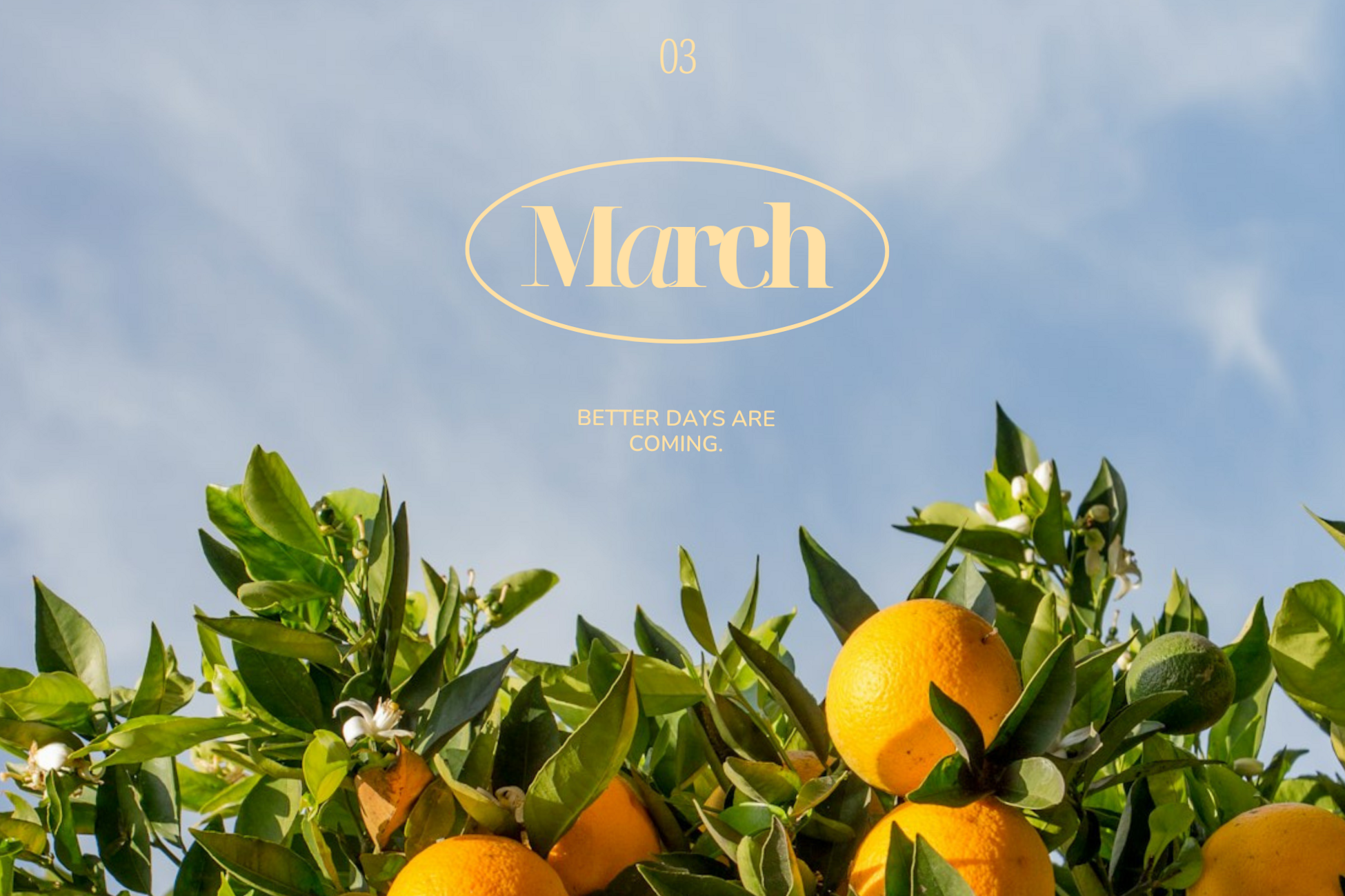 March Wallpaper: Digital Design & Planner Assets — 🌸 💍 romanticize your routine