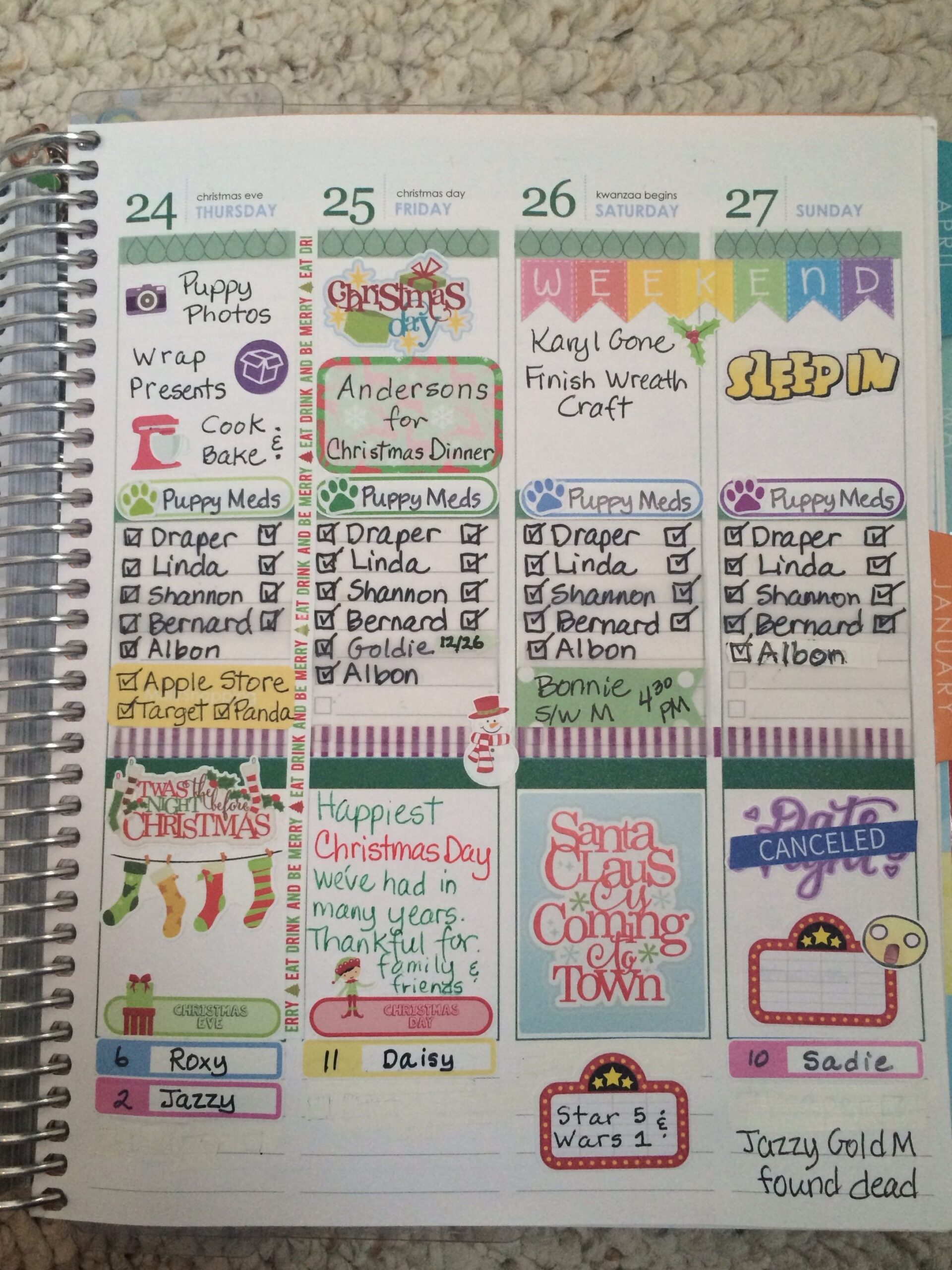 🌸 🥂 My Erin Condren: Digital Design & Creative Planner Essentials | stay inspired all year long