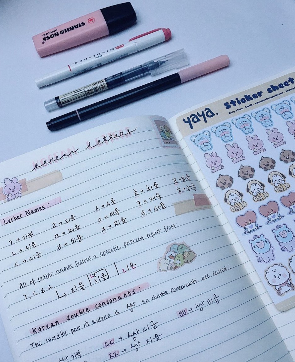 My Korean Notebook | Adorable BT21 Stickers — 📊 📊 stay inspired all year long