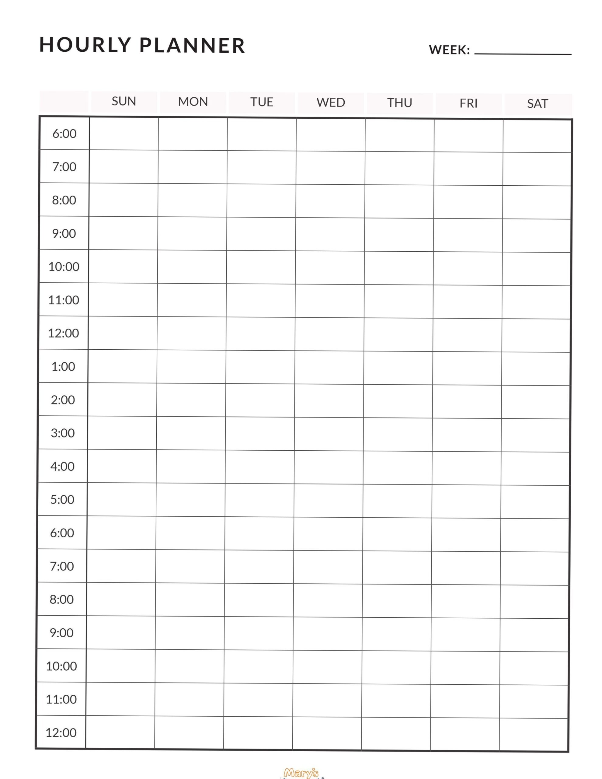 📁 🖇️ Pink Hourly Planner Printable – Pretty & Productive Daily Organizer | dream life manifestation