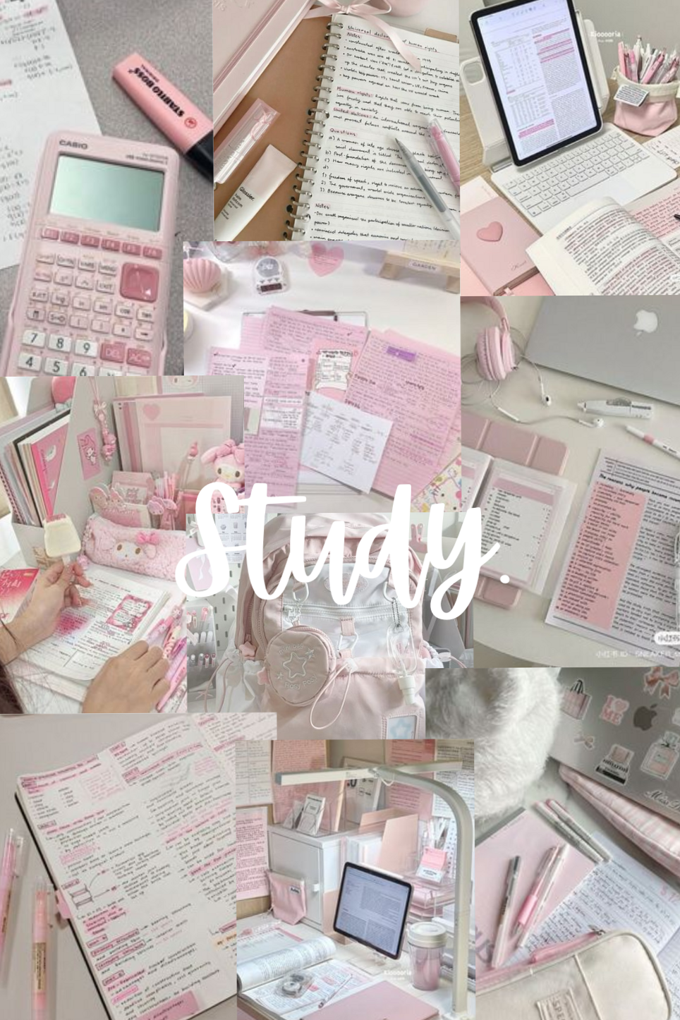 ✨ 🤍 Pink Study Motivation Aesthetic | stay inspired all year long