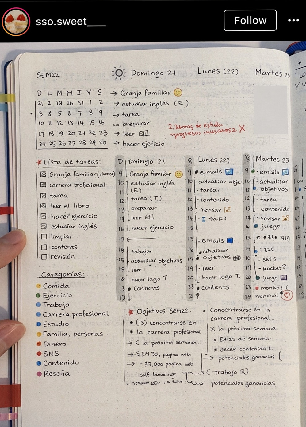 Planner Semanal Estilo Bullet Journal — 🎀 🎀 dream life manifestation