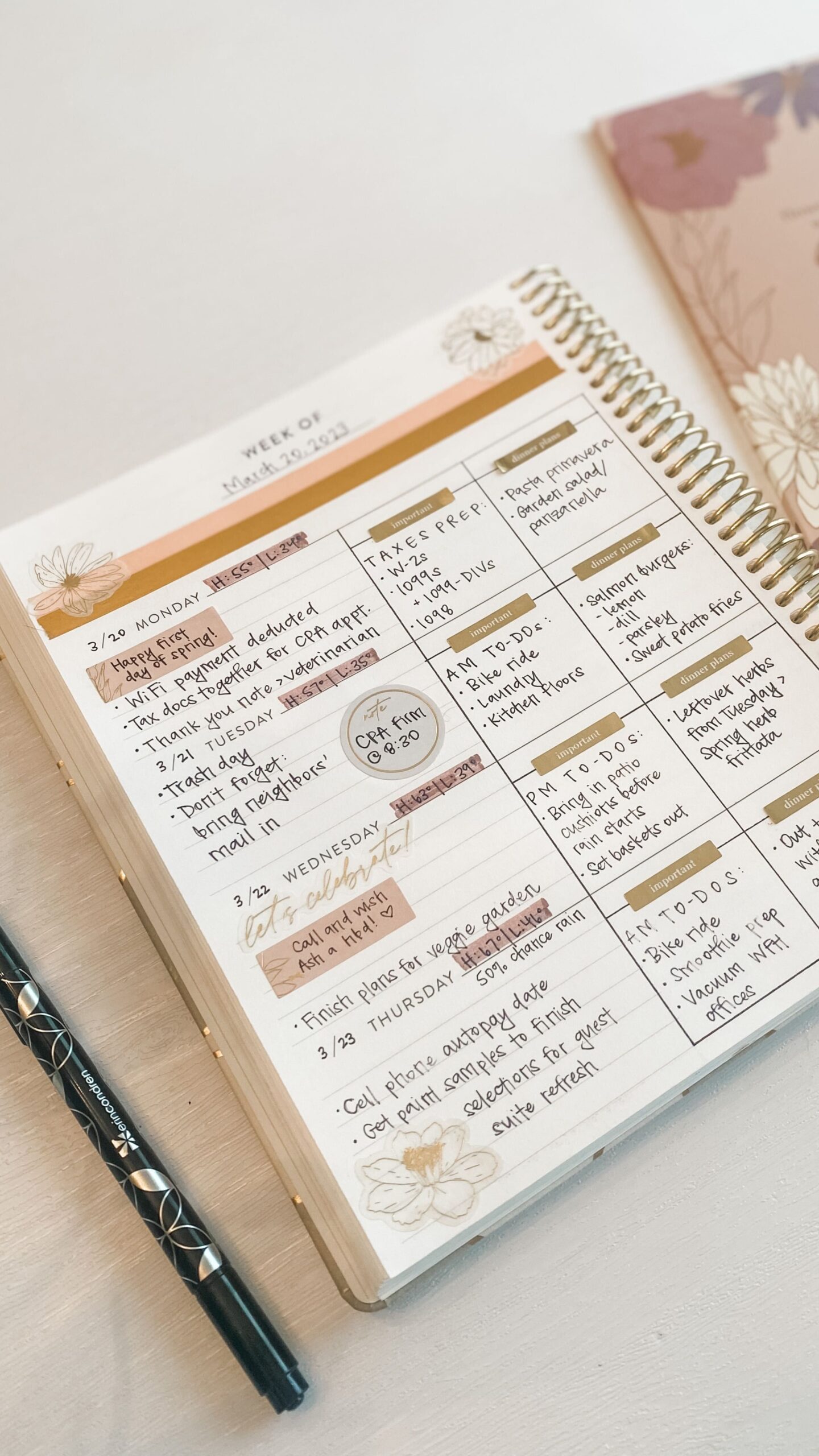 🥂 👰 romanticize your routine: Erin Condren 2024: Plan, Design, Succeed