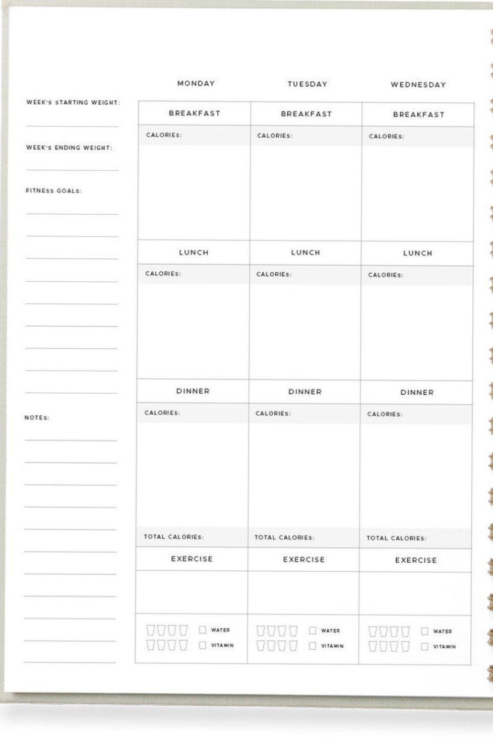 📁 🖇️ romanticize your routine: Golden Coil: Top Pages for Creative Meal Planning