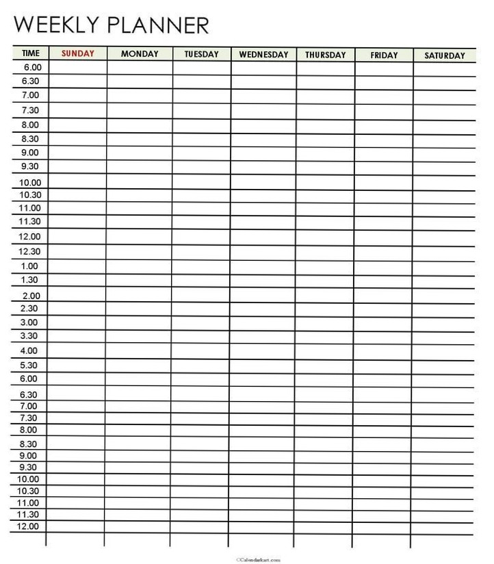 🎨 🪄 secret to staying productive: Optimize Your Day with Our Half-Hourly Planner! #TimeManagement #Planner