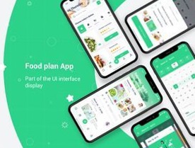🎨 💎 secret to staying productive: FoodPlan UI Kit – Modern Design for Creative Planners