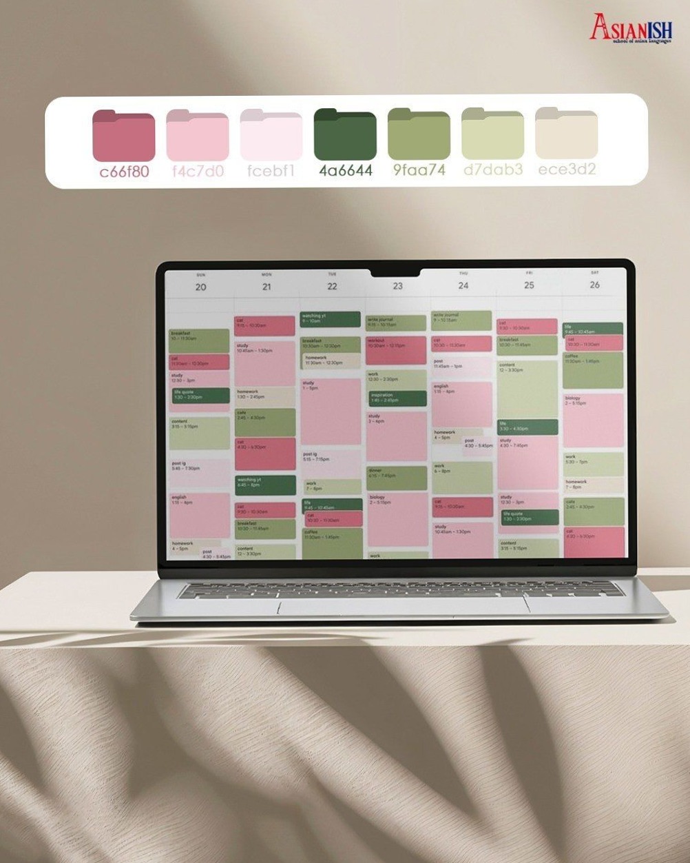 🕯️ 🕯️ secret to staying productive: Майстерні плани для вивчення корейської, китайської, японської мов