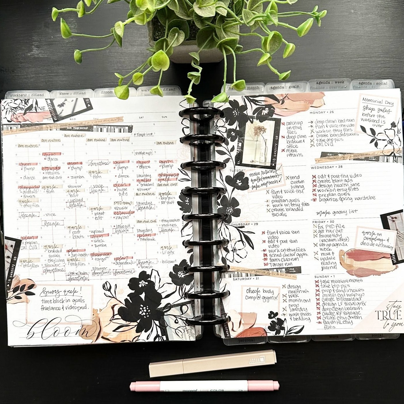 📁 📊 secret to staying productive: Stephanie • Designer, Shop Owner & Happy Planner