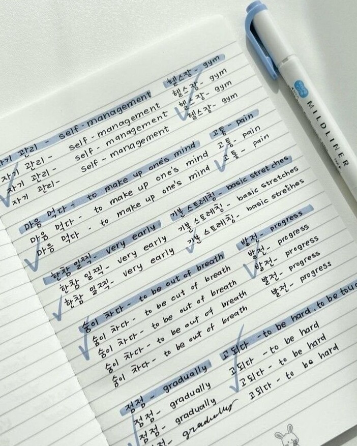 📅 📅 SmartTokki Instagram Digital Design & Creative Planners | dream life manifestation