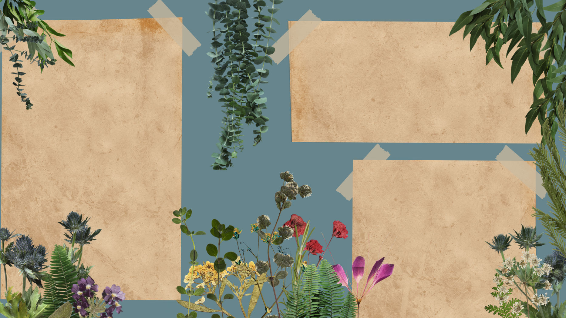 💎 🎨 Soft Bloom Aesthetic Flower Wallpapers for Design Projects | dream life manifestation