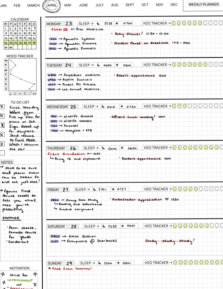 ☁️ ✨ stay inspired all year long: Weekly Task Planner for Organized Study Sessions