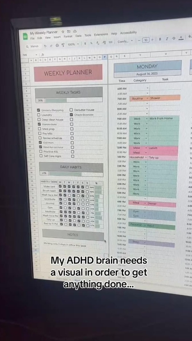 📝 📊 stay inspired all year long: Dream Life Manifestation Weekly Planner Template