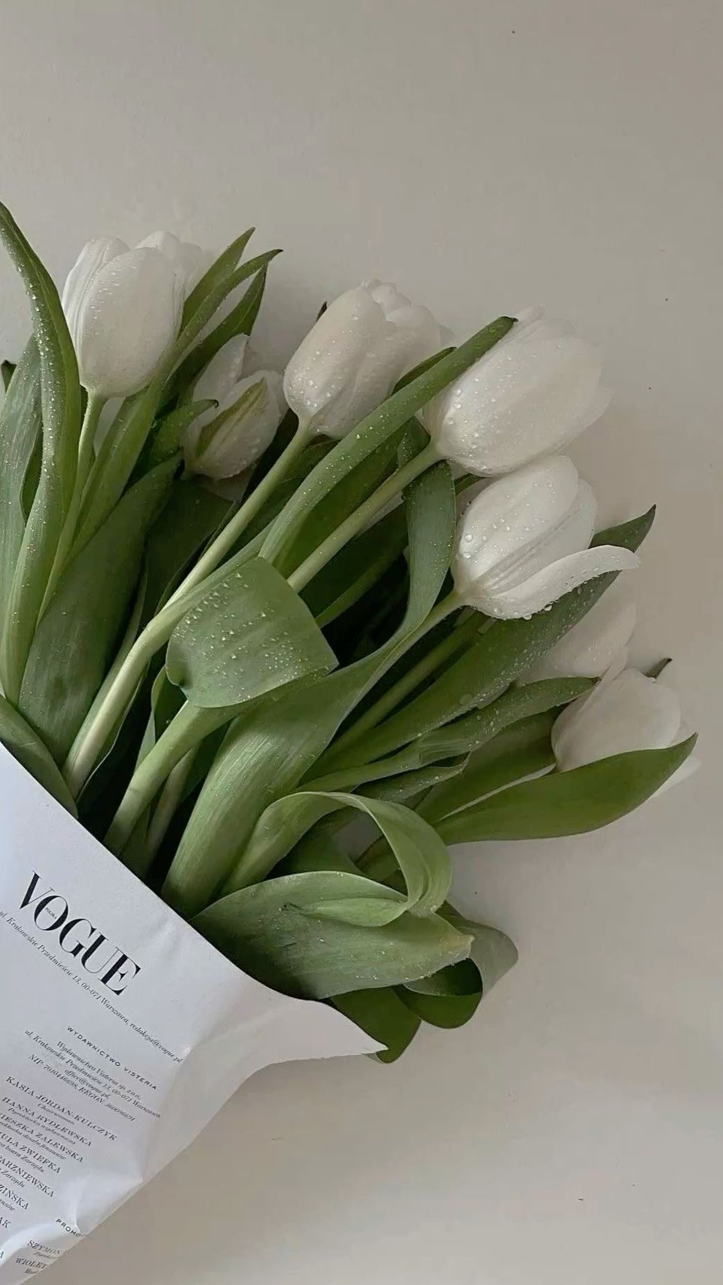 📅 📌 stay inspired all year long: Creative Hi: Digital Design & Planner Assets