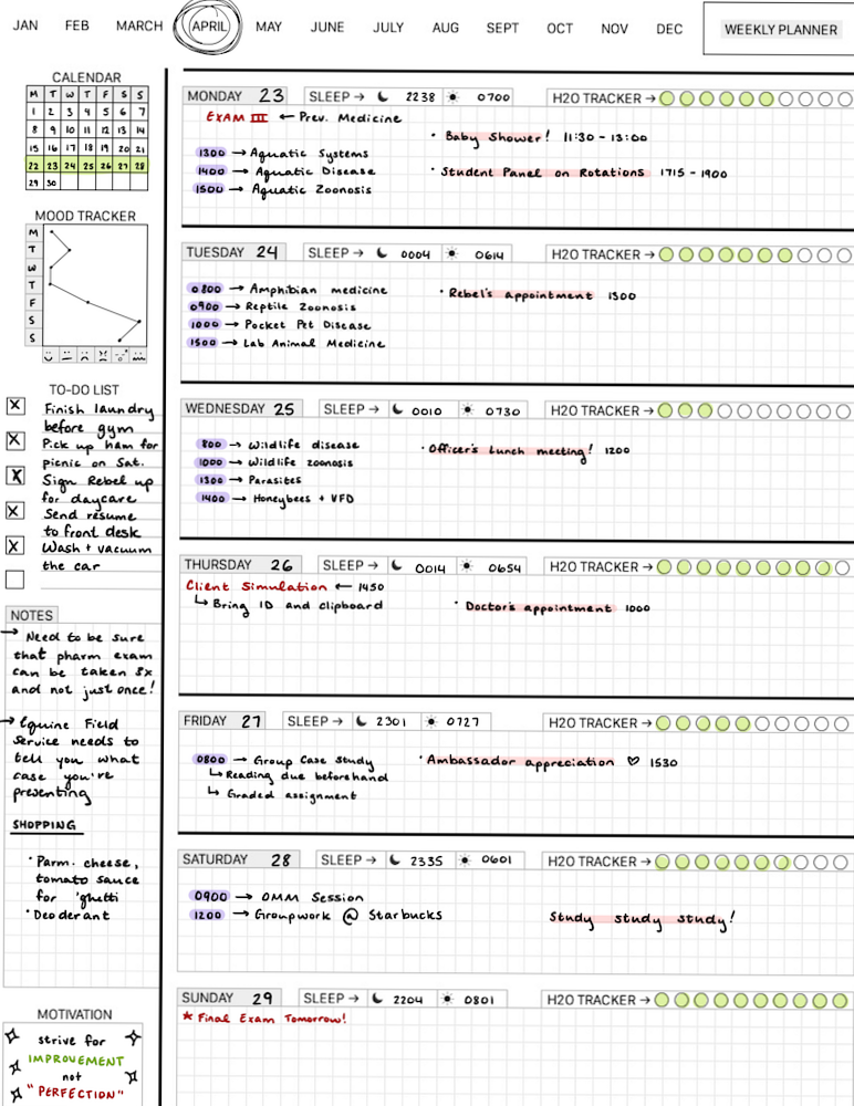 🕯️ 🤍 stay inspired all year long: 2025 Vet Planner for GoodNotes 5